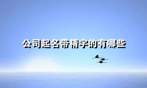 公司起名带精字的有哪些