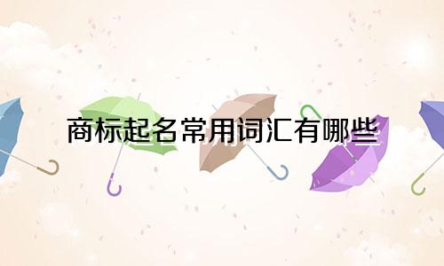 商标起名常用词汇有哪些