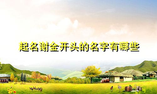 起名谢金开头的名字有哪些