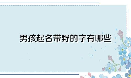 男孩起名带野的字有哪些