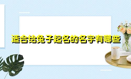 适合给兔子起名的名字有哪些