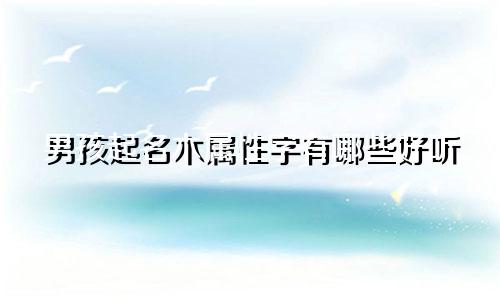 男孩起名木属性字有哪些好听