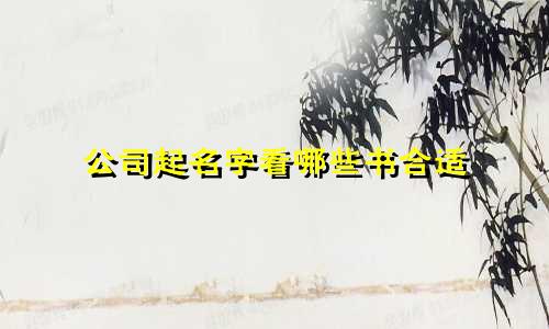 公司起名字看哪些书合适