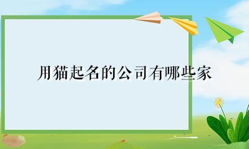 用猫起名的公司有哪些家