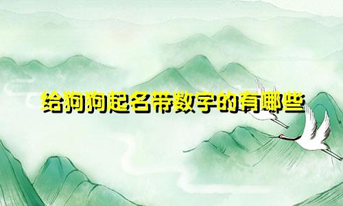给狗狗起名带数字的有哪些