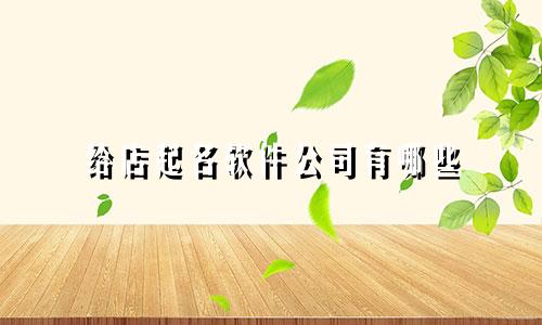 给店起名软件公司有哪些