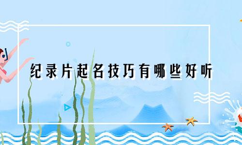 纪录片起名技巧有哪些好听