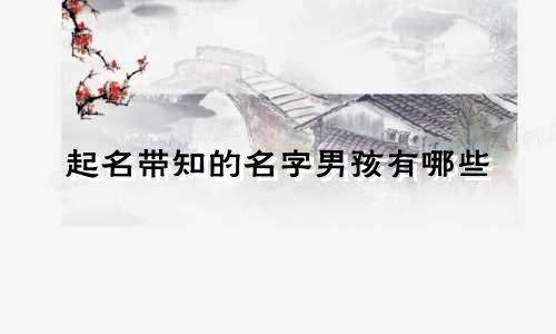 起名带知的名字男孩有哪些