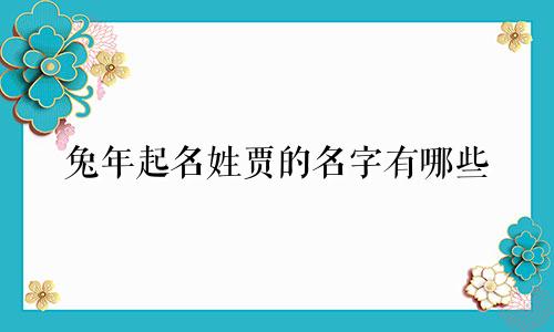兔年起名姓贾的名字有哪些