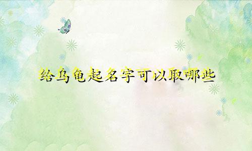 给乌龟起名字可以取哪些