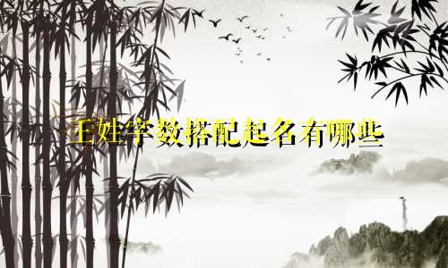 王姓字数搭配起名有哪些
