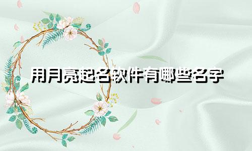 用月亮起名软件有哪些名字