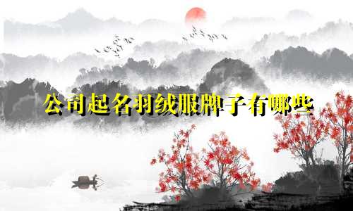 公司起名羽绒服牌子有哪些