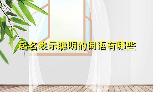 起名表示聪明的词语有哪些