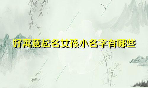 好寓意起名女孩小名字有哪些