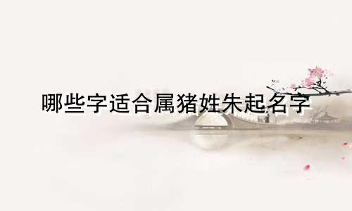 哪些字适合属猪姓朱起名字