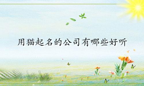 用猫起名的公司有哪些好听