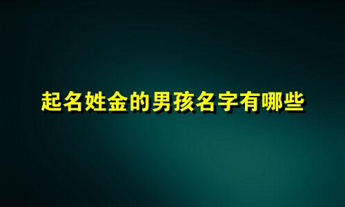 起名姓金的男孩名字有哪些