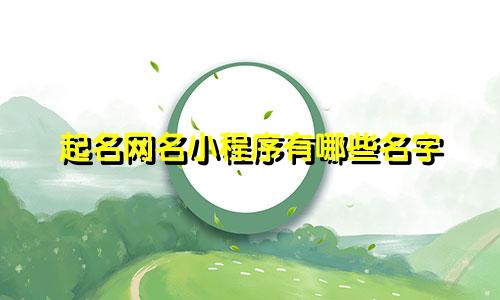 起名网名小程序有哪些名字