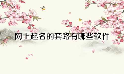 网上起名的套路有哪些软件