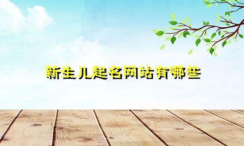 新生儿起名网站有哪些
