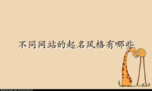 不同网站的起名风格有哪些