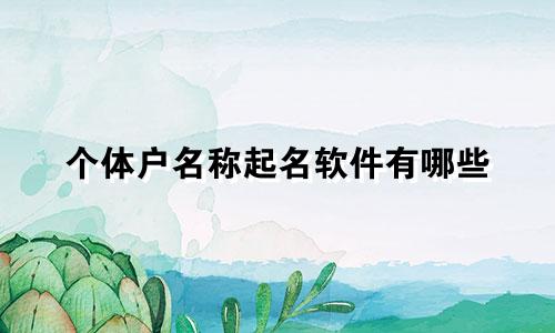 个体户名称起名软件有哪些
