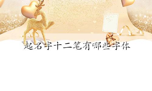 起名字十二笔有哪些字体