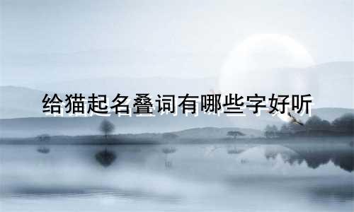 给猫起名叠词有哪些字好听