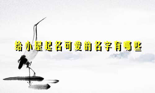 给小屋起名可爱的名字有哪些