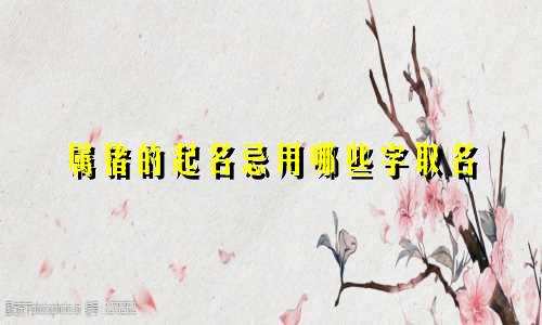 属猪的起名忌用哪些字取名