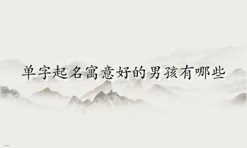 单字起名寓意好的男孩有哪些