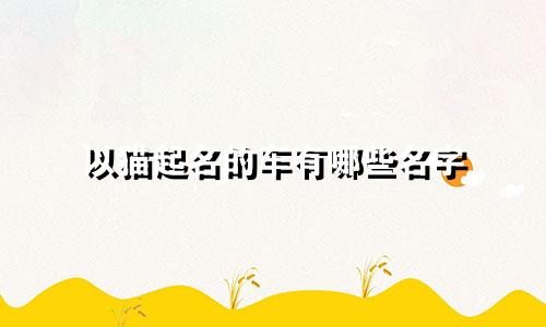 以猫起名的车有哪些名字