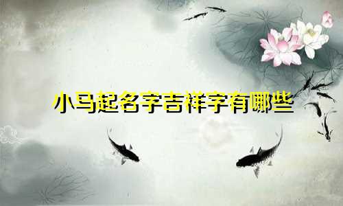 小马起名字吉祥字有哪些