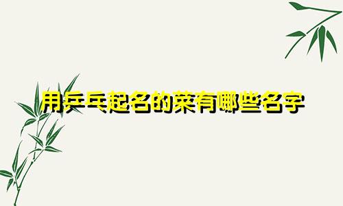 用乒乓起名的菜有哪些名字