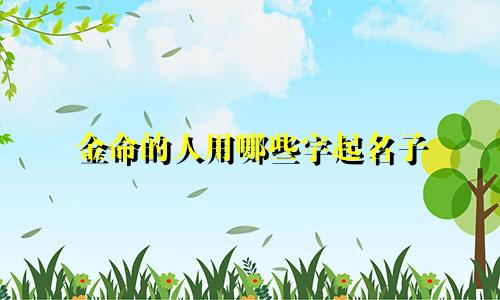 金命的人用哪些字起名子