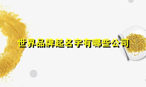 世界品牌起名字有哪些公司