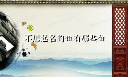 不想起名的鱼有哪些鱼