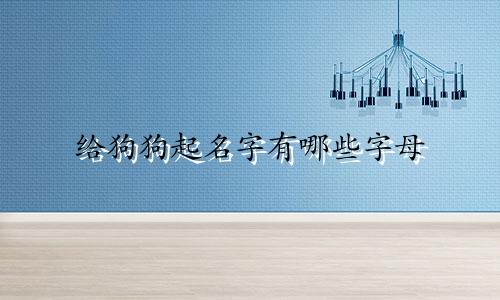 给狗狗起名字有哪些字母