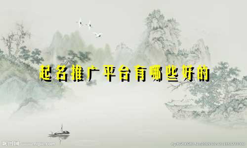 起名推广平台有哪些好的