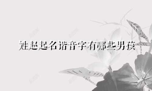 姓赵起名谐音字有哪些男孩