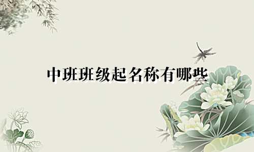 中班班级起名称有哪些