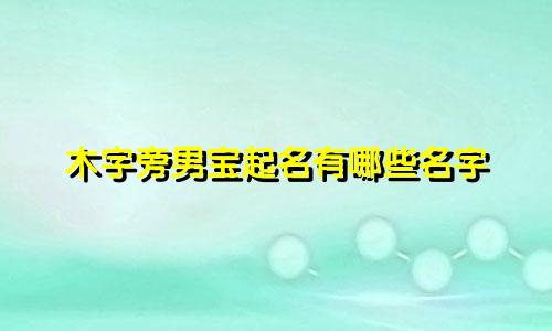 木字旁男宝起名有哪些名字
