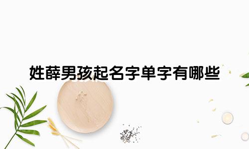 姓薛男孩起名字单字有哪些