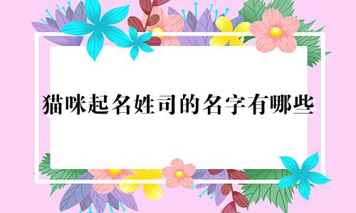 猫咪起名姓司的名字有哪些