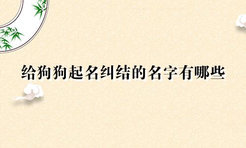 给狗狗起名纠结的名字有哪些