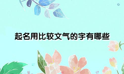 起名用比较文气的字有哪些