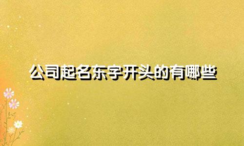 公司起名东字开头的有哪些
