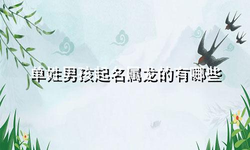 单姓男孩起名属龙的有哪些