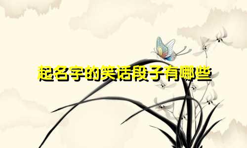 起名字的笑话段子有哪些